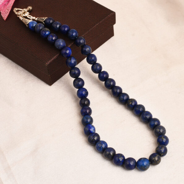 RCJN-0499 (11)