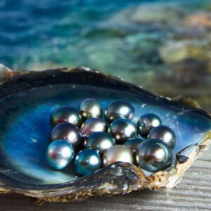 Black pearls in history and culture